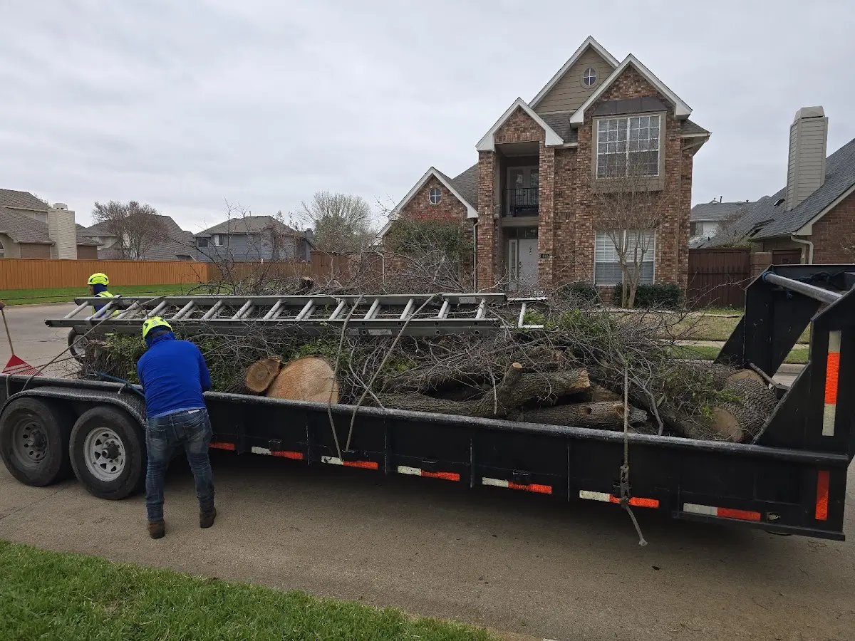 Expert Lot Clearing with proper safety equipment in Yellow Jacket